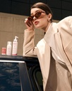 bss_model.webp